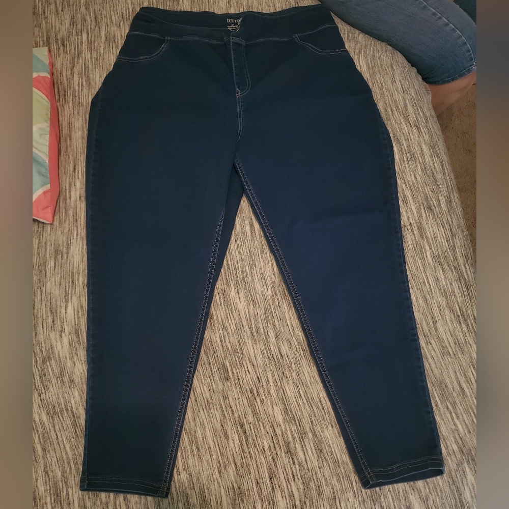 Terra & Sky Blue Skinny Jeans - 3X